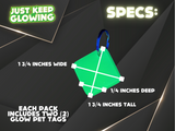 Glow in the Dark pet tag