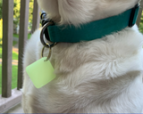 Glow Pet Tag