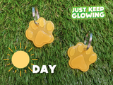 Glow in the Dark Cat Tag