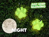 glow in the dark pet tag