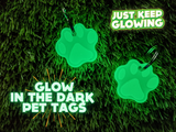 glow in the dark pet tags