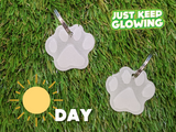 Glow in the Dark Dog Tag