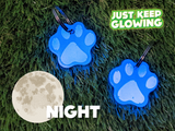 glow in the dark pet tag