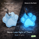 Blue glow in the dark dog tag for night visibility, reusable pet collar tag that charges with light no batteries needed