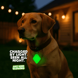 Rechargeable glow-in-the-dark dog tag glowing brightly in backyard at night for pet safety.