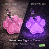Glow in the Dark Dog Tag | Rechargeable Pet Safety Collar Tag for Night Visibility (2-Pack)