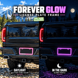 Glittery pink license plate frame on a black truck in daylight compared with its purple glow after dark.