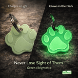 Glow in the dark dog tag charging in light and glowing at night, reusable pet tag with no batteries for safety visibility