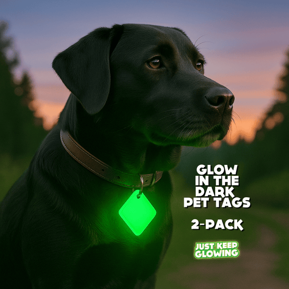 Black Labrador wearing glow-in-the-dark pet tag outdoors at dusk, showcasing Just Keep Glowing 2-pack.