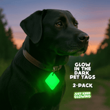 Black Labrador wearing glow-in-the-dark pet tag outdoors at dusk, showcasing Just Keep Glowing 2-pack.