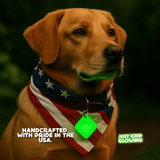 Handcrafted American-made glow pet tag with green light, durable and non-toxic for dogs or cats.