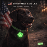 Glow in the dark dog tag on collar for nighttime pet safety, made in USA reusable glow tag for dog walking and visibility