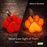 Red glow in the dark dog tag that glows orange at night for pet safety, rechargeable no battery pet ID tag for dogs and cats