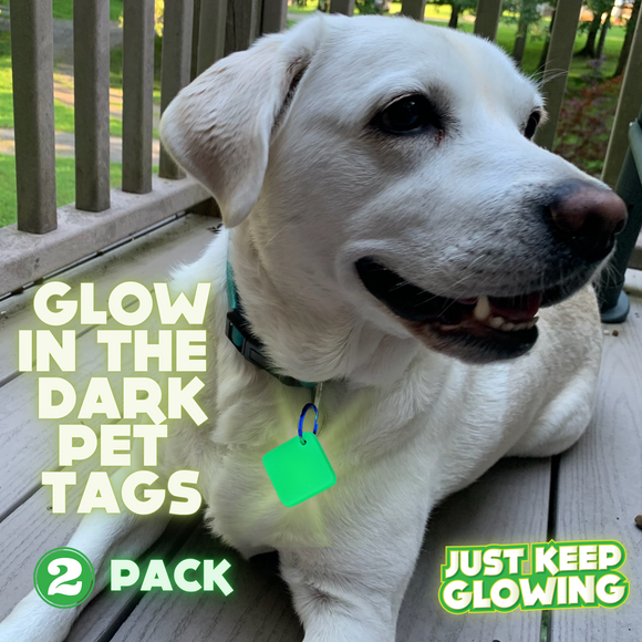 Glow in the Dark Pet Tags
