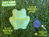 JERRY THE GLOW IN THE DARK FROG