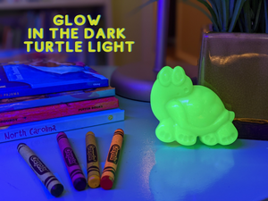 Turtle Night Light
