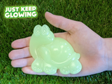 Turtle Toy